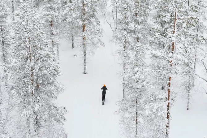 Private Driving Snow Scooters Experience in Finland - Why this electric ride feels different
