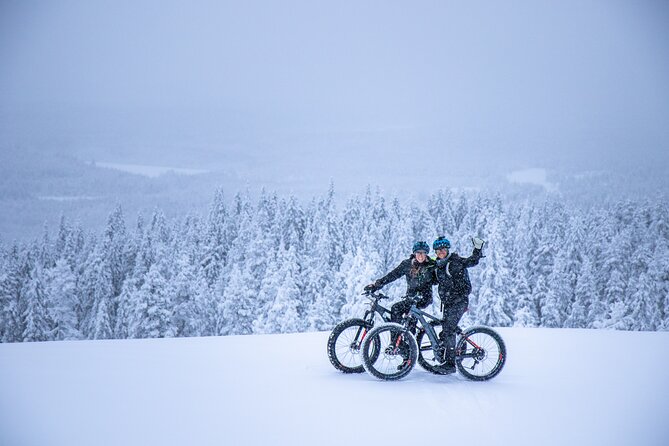 Private Electric Fat Bike Winter Tour in Rovaniemi - Key points to know before booking