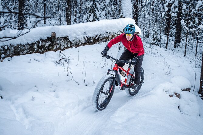 Private Electric Fat Bike Winter Tour in Rovaniemi - Five minutes to the Kemijoki