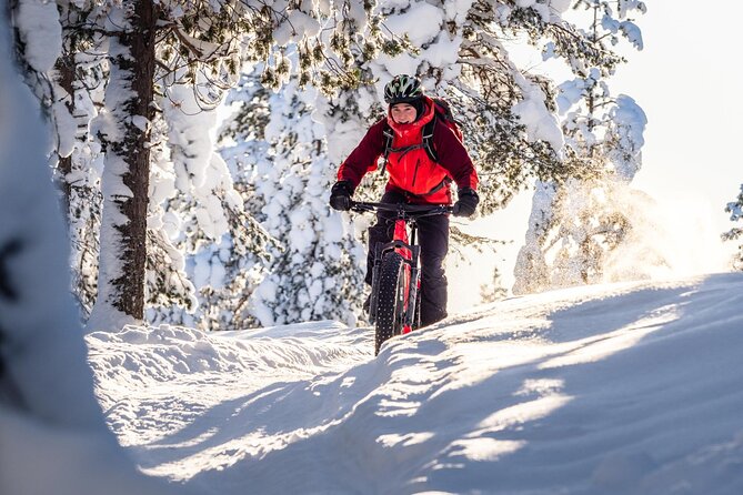 Private Electric Fat Bike Winter Tour in Rovaniemi - Who will enjoy this ride most