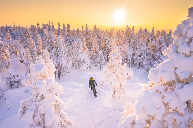 Private Electric Fat Bike Winter Tour in Rovaniemi - A photo stop at the Lumberjack’s Candle Bridge