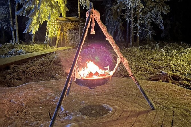 PRIVATE Glass Igloo Dinner Under Northern Lights - Key points to know before booking