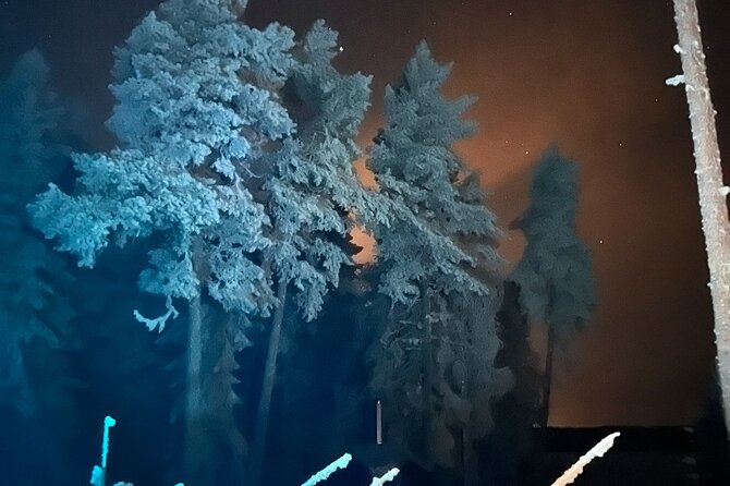 PRIVATE Glass Igloo Dinner Under Northern Lights - The northern lights question