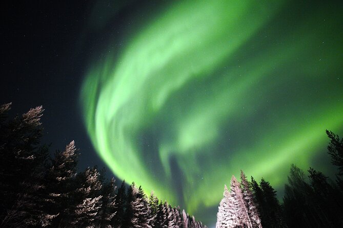 Private Group: Northern Lights Hunt 4x4 SUV with Aurora guarantee - Chasing clear skies instead of fixed viewpoints