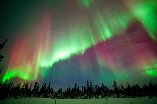 Private Group: Northern Lights Hunt 4x4 SUV with Aurora guarantee - What the aurora guarantee really means