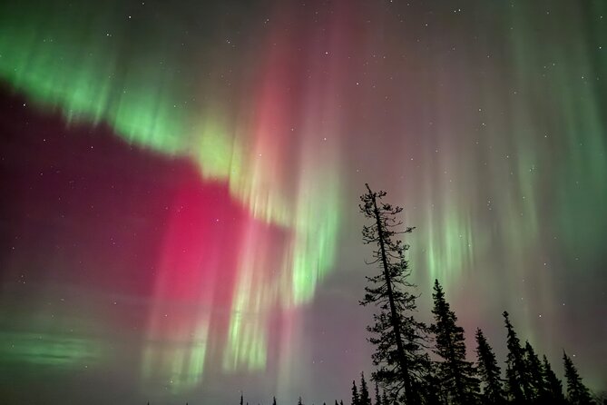 Private Group: Northern Lights Hunt 4x4 SUV with Aurora guarantee - A guide who adapts the evening
