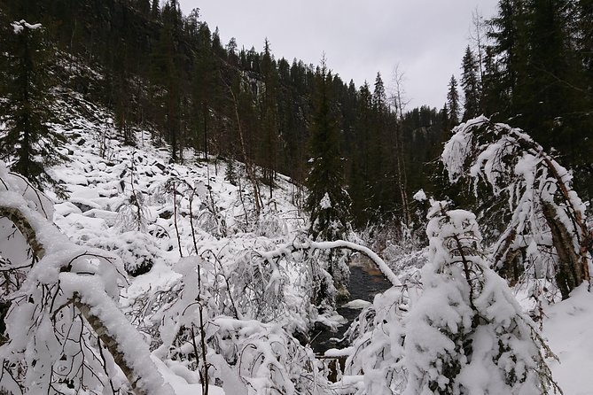 Private Korouoma Canyon Tour - Should you book the Private Korouoma Canyon Tour?