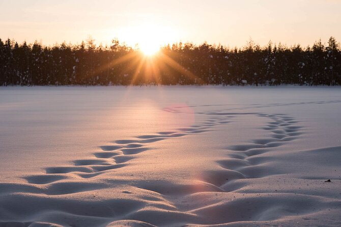 Private Lappish evening in the wilderness with traditional sauna and dinner - Leaving Rovaniemi for a private evening