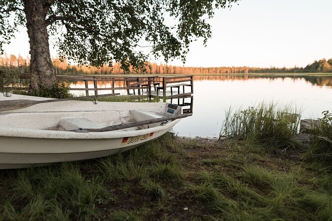 Private Lappish evening in the wilderness with traditional sauna and dinner - Salmon, vegetables, cookies, and gløgi