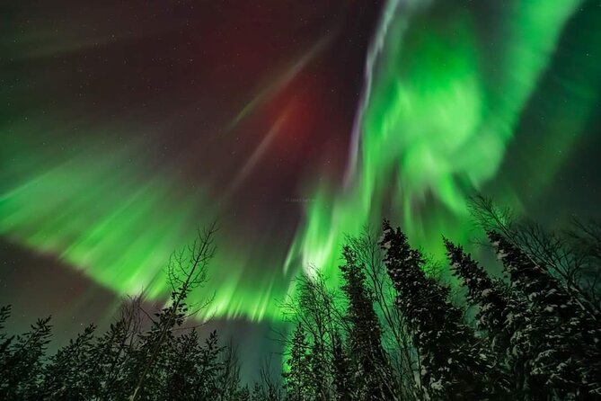 Private Northern Lights Hunting Tour Rovaniemi - The outdoor wait is the real test