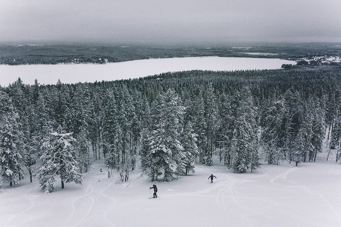 Private Northern Lights Tour With Skis Or Snowshoes in Pyhä - Cold-weather comfort and physical demands