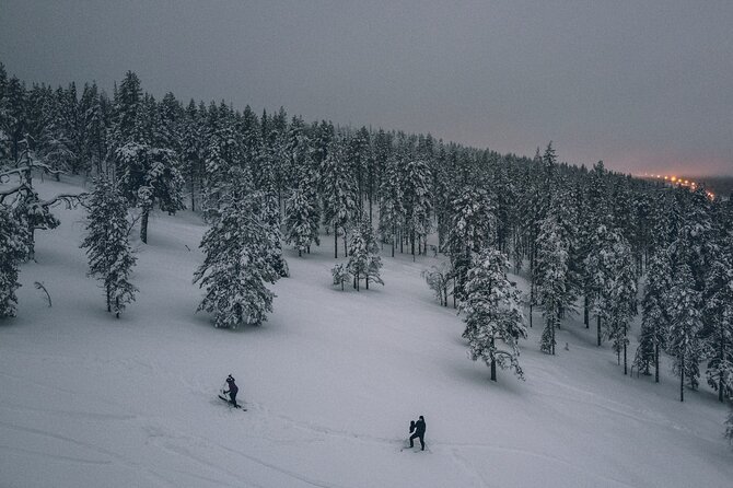 Private Northern Lights Tour With Skis Or Snowshoes in Pyhä - Who will enjoy this Pyhä experience most