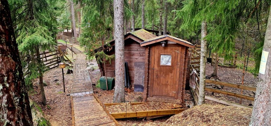 PRIVATE Reindeer Park Adventure by VIP Car - A quiet forest setting, not a long hike