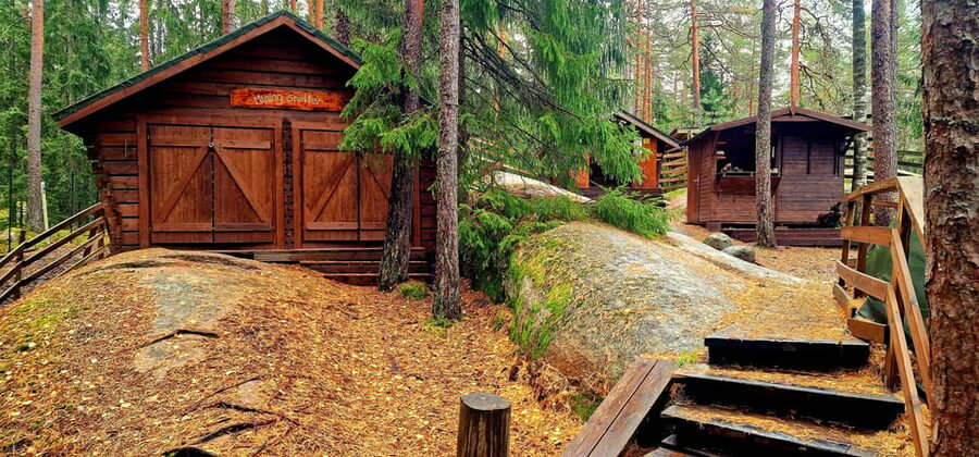 PRIVATE Reindeer Park Adventure by VIP Car - Who should book this private reindeer visit?