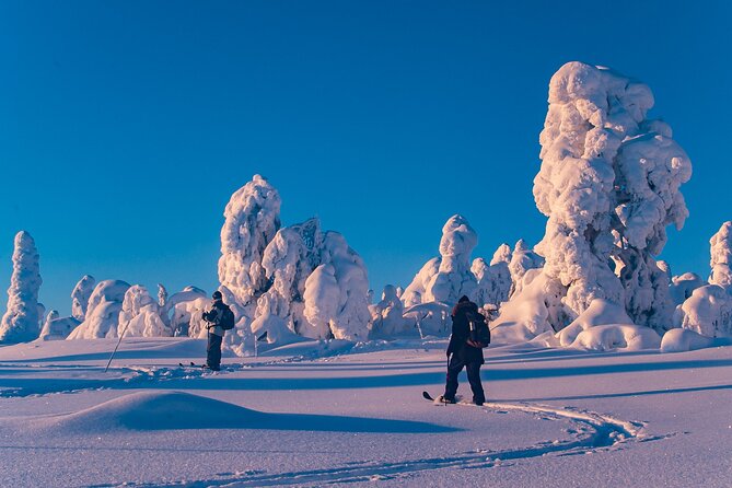 Private Snowshoe or Ski Adventure in Lapland from Rovaniemi - Snowshoeing, Ski Hiking, and the Feel of the Trail