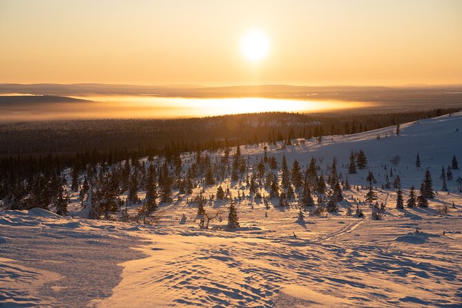 Private Snowshoe or Ski Adventure in Lapland from Rovaniemi - Distance, Effort, and Who Will Enjoy It