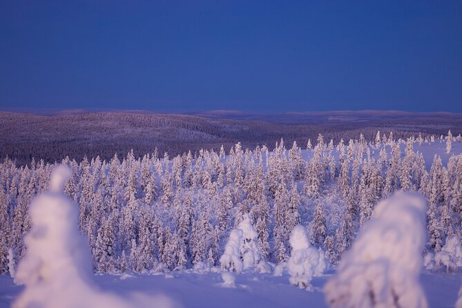 Private Snowshoe or Ski Adventure in Lapland from Rovaniemi - Choosing Between Rovaniemi and Farther Lapland