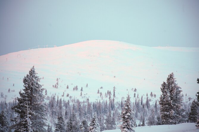 Private: Snowshoeing Safari in spectacular National Park - Snowshoeing for a moderate workout