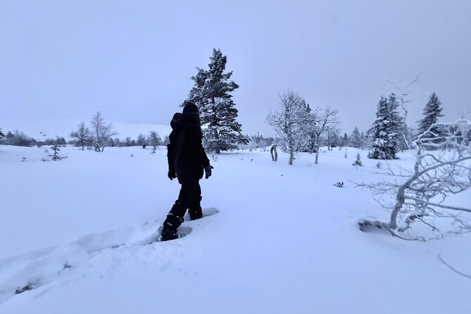 Private: Snowshoeing Safari in spectacular National Park - A fireside break with Finnish flavor