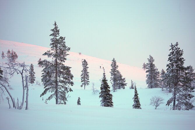 Private: Snowshoeing Safari in spectacular National Park - What to wear for a Lapland snowshoe walk