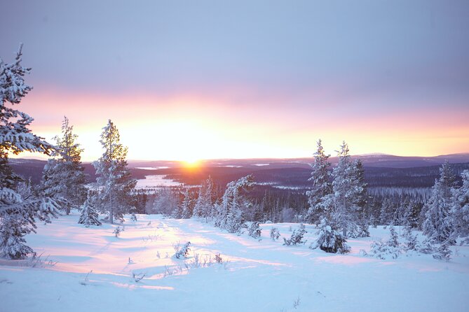 Private: Snowshoeing Safari in spectacular National Park - Why the private format matters