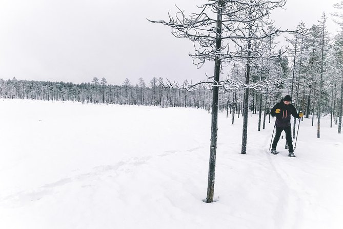 Private Snowshoeing Tour In Pyhätunturi With A Local Guide - Walking through Pyhätunturi’s snowy wilderness