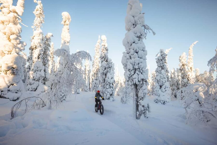 Pyhätunturi: Electric Fatbike Tour in Finnish Lapland - What I like most about this Pyhä activity