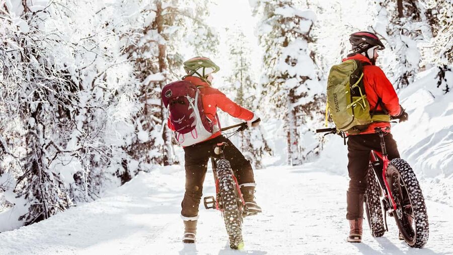 Pyhätunturi: Electric Fatbike Tour in Finnish Lapland - The warm berry break matters more than you might expect