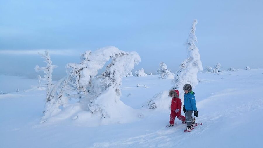 Pyhätunturi: Scenic Snowshoeing Tour in Finnish Lapland - Who should book this Pyhä snowshoe tour?