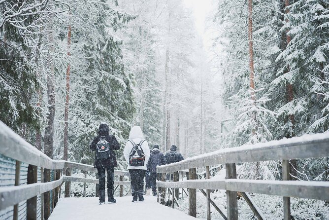 Ranua Wildlife Park Day: Visit the Arctic Animals - Should you book Ranua Wildlife Park?