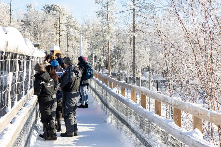 Ranua: Wildlife Park Entrance Ticket - Tickets, timing, and what to bring