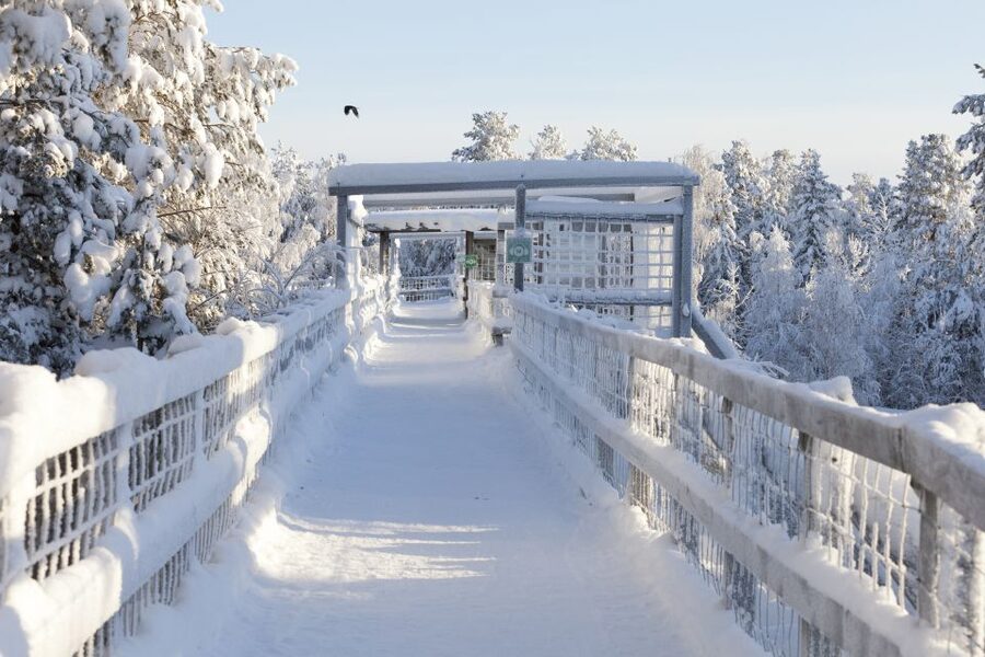 Ranua Wildlife Park Guided Tour from Rovaniemi - The coffee break and Fazer sweets stop
