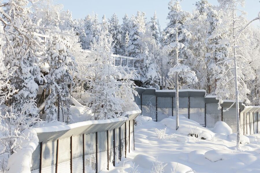 Ranua Wildlife Park Guided Tour from Rovaniemi - Who will enjoy this half-day outing?