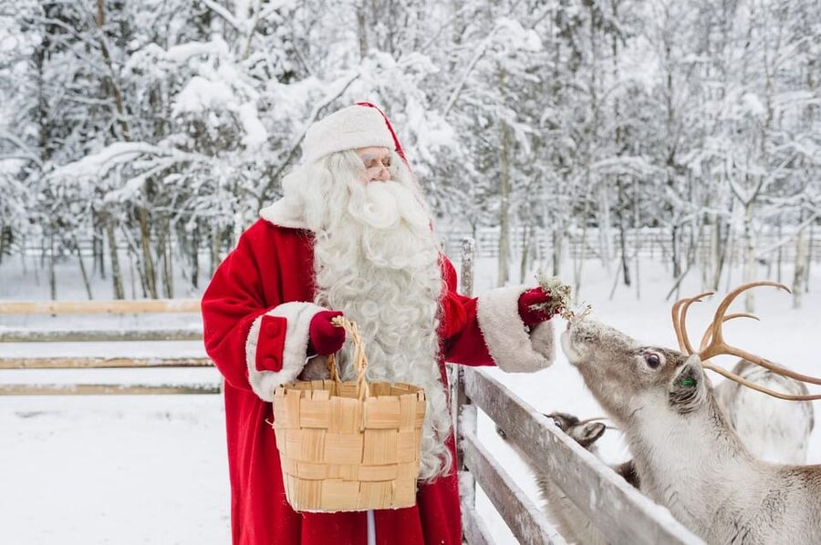 Reindeer Farm Visit with Sleigh Ride - Meeting point and transport details