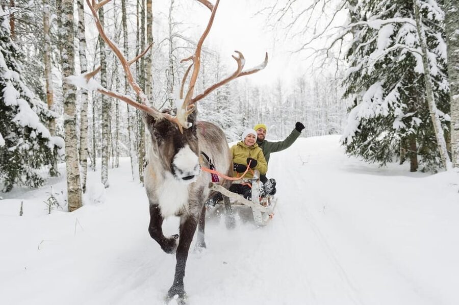 Reindeer Farm Visit with Sleigh Ride - Winter clothing and cold-weather comfort