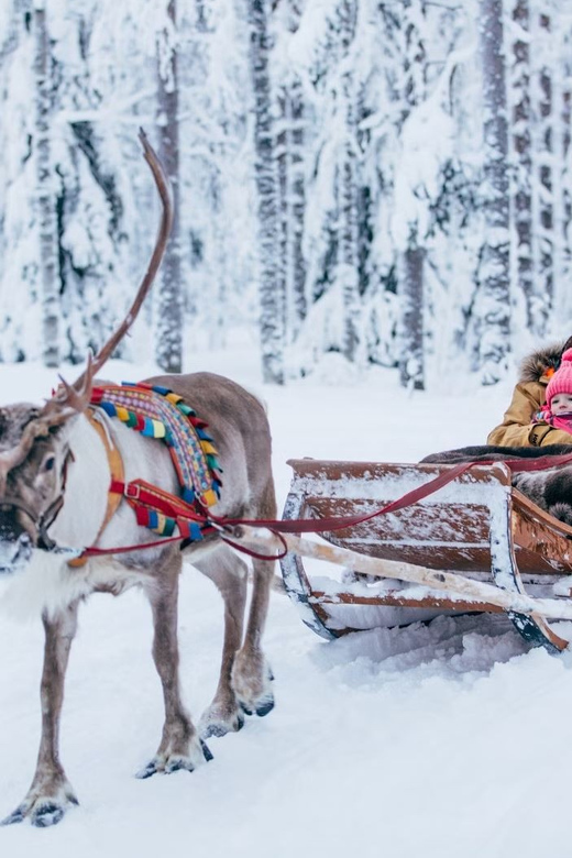 Reindeer Farm Visit with Sleigh Ride - Snacks, hot drinks, and the traditional kota