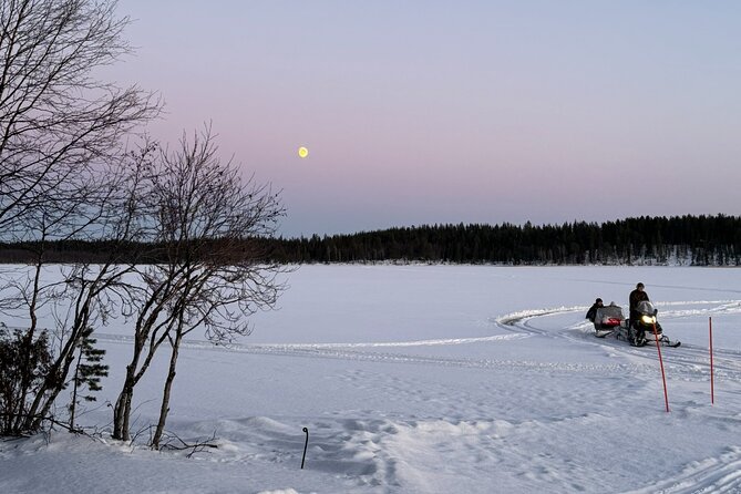 Reindeer Husbandry with Snowmobile Sleigh Ride and Cabin Lunch - A family-run introduction to reindeer life