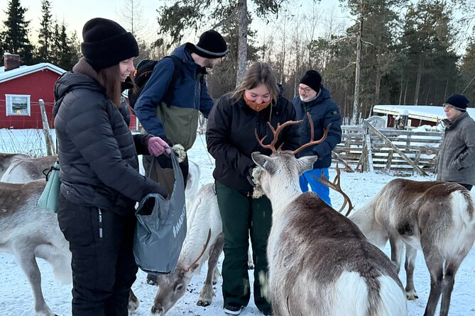 Reindeer Husbandry with Snowmobile Sleigh Ride and Cabin Lunch - Lunch beside the fire in a Finnish kota