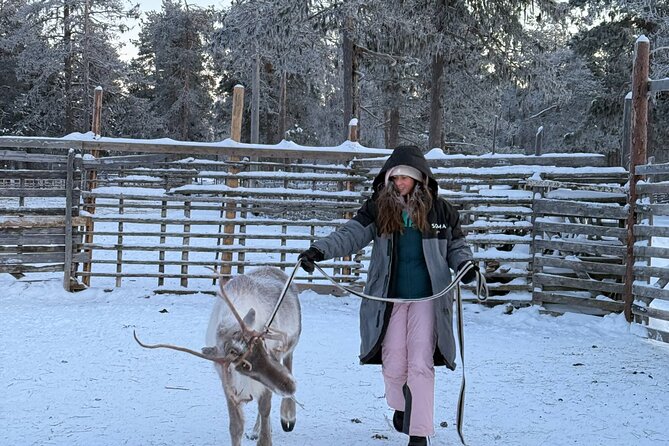 Reindeer Husbandry with Snowmobile Sleigh Ride and Cabin Lunch - What the small group changes