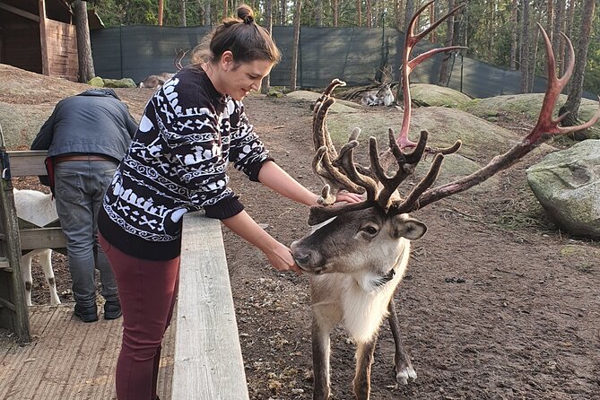 Reindeer Park Adventure - The price needs a careful look