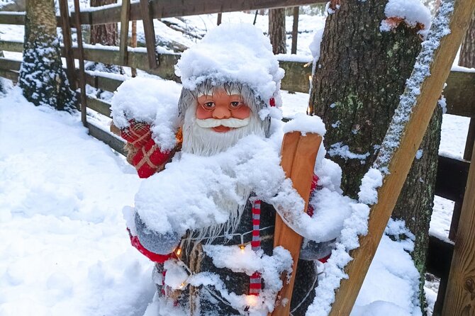 Reindeer Park & Horse Stables Safari - Key points to know before booking