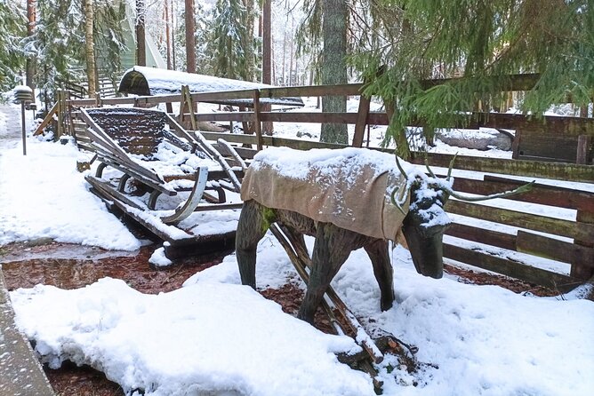 Reindeer Park & Horse Stables Safari - A closer look at the guiding