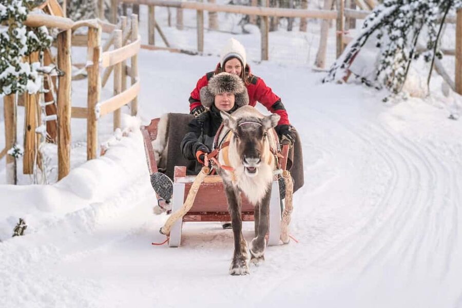 Reindeer Safari at a 200-Year-Old Farm & Long Sled Ride - Key points at a glance