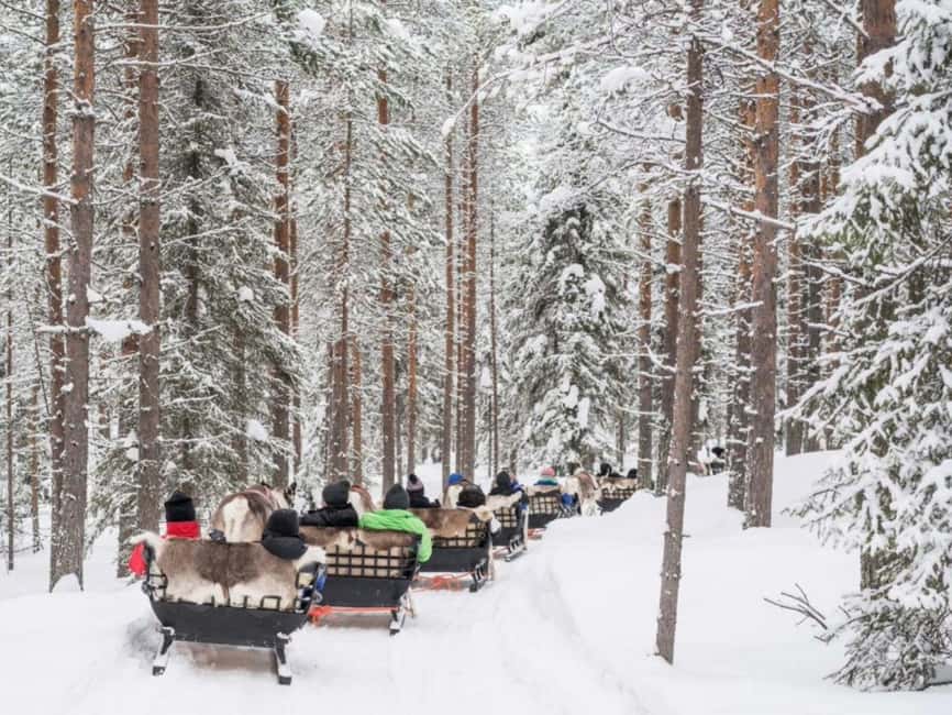 Reindeer Safari at a 200-Year-Old Farm & Long Sled Ride - Tea, cookies, and a closer look at herding
