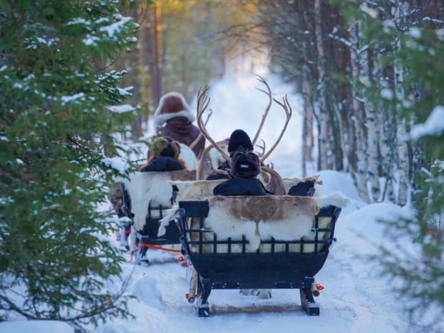Reindeer Safari at a 200-Year-Old Farm & Long Sled Ride - Earning the reindeer driving license