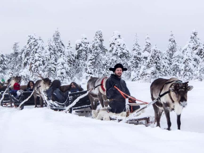 Reindeer Safari at a 200-Year-Old Farm & Long Sled Ride - Practical preparation for a minus 31 C day