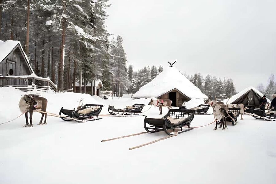 Reindeer Safari at a 200-Year-Old Farm & Long Sled Ride - Booking choice: a gentle Arctic outing with real cold-weather demands