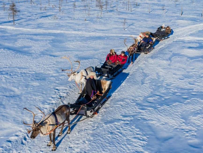 Reindeer Safari at a 200-Year-Old Farm & Long Sled Ride - Meeting the reindeer before the ride