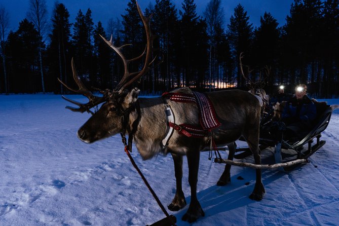 Reindeer Sleigh Ride Across the Night in Apukka Resort Rovaniemi - Transport and the importance of arriving early