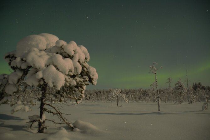 Reindeer Sleigh Ride Across the Night in Apukka Resort Rovaniemi - Is $223.57 a fair price?